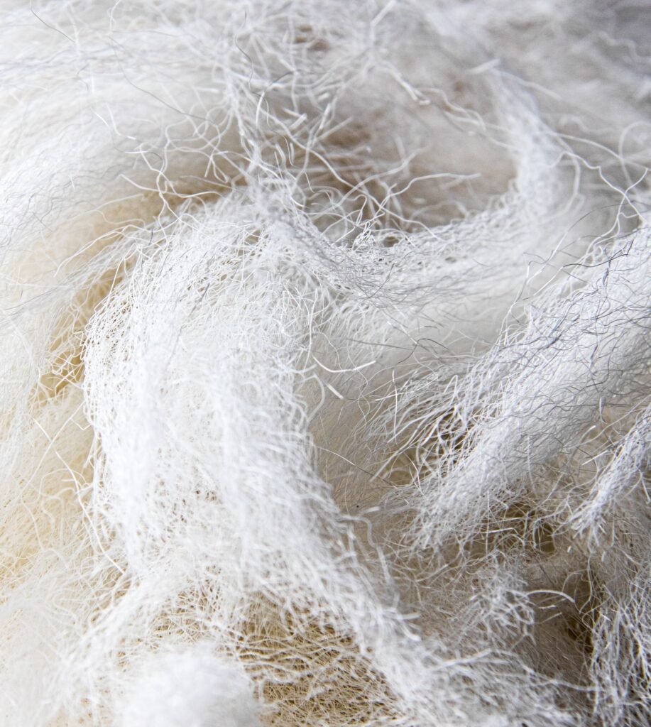 pexels-photo-13717225-13717225 Detailed close-up of fluffy white cotton fibers, showcasing texture and softness.